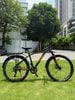 Xe đạp địa hình MTB MIAMOR FORTEEN Size 26 inch