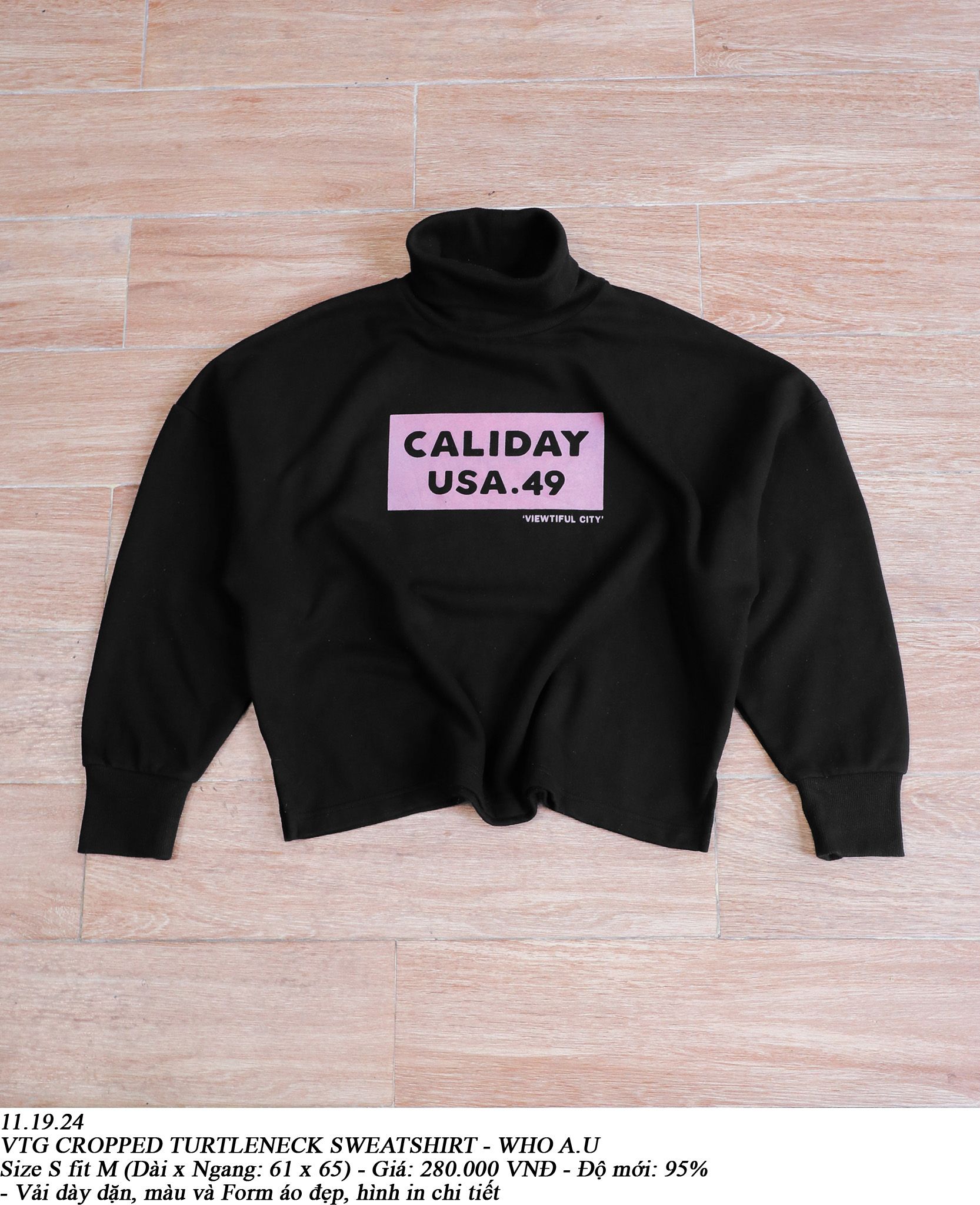  11.19.24 - VTG CROPPED TURTLENECK SWEATSHIRT - WHO.A.U 