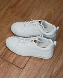  [PASS ĐỒ] - GIÀY THỂ THAO NEAN SHOES 