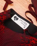  [PASS ĐỒ] - FIN SET - LALUNE 