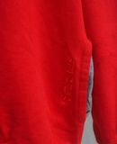  09.19.24 - VTG OVERSIZED PULLOVER HOODIE - STARTER 