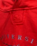  09.19.24 - VTG OVERSIZED PULLOVER HOODIE - STARTER 