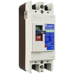 CB khối Shihlin BM 100-SN 2P 100A 15kA