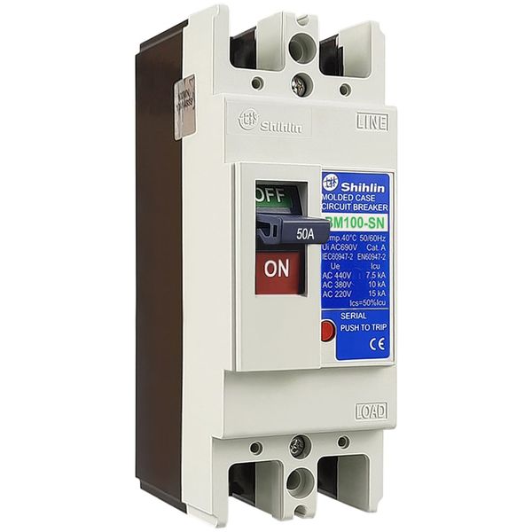 BM 100-SN 2P 15A 15kA