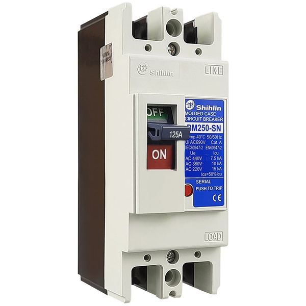 BM 250-SN 2P 175A 30kA
