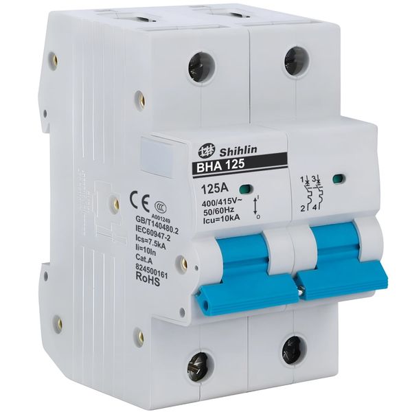 BHA125 2P 80A 10kA