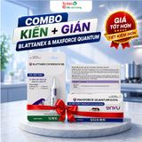 Tự Làm Diệt Côn Trùng – Sản phẩm chính hãng từ Hanoi Pest Control
