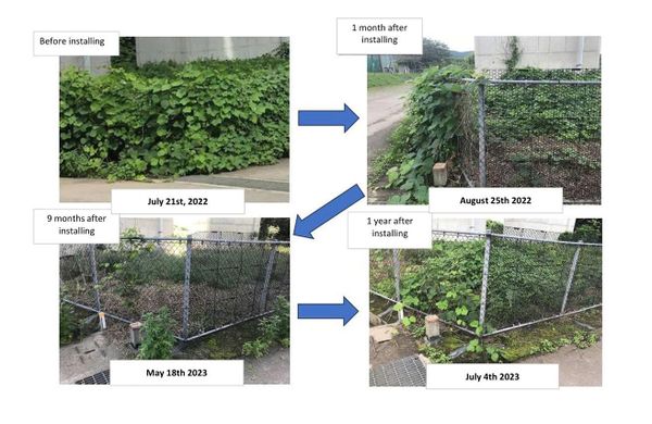 Tấm Lưới Ngăn Dây Leo Yotsugi Ivy Guard Karama Net BM