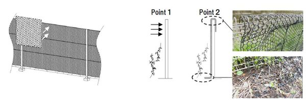 Tấm Lưới Ngăn Dây Leo Yotsugi Ivy Guard Karama Net BM