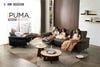 Sofa chỉnh điện Puma - Cheers sofa