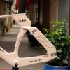 Khung Fixed gear Track BXT 695 full carbon