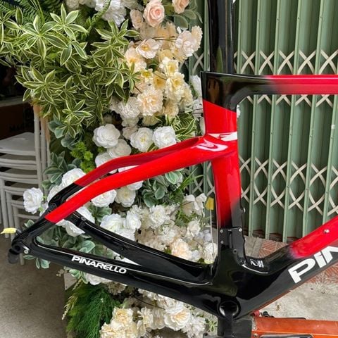 Khung Road Carbon Pina F14 phanh đĩa