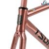 Khung Fixed Gear Tsunami SNM100 sơn nhũ