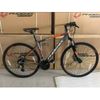 Xe touring Phoenix Cruise S bánh 700Cx32C