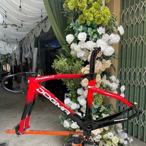 Khung Road Carbon Pina F14 phanh đĩa