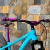 Xe MTB Dirt Jump PINK DS200 khung thép bánh 26 inchs