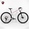 Xe MTB TW Storm 2.0 carbon 2026 Deore M6100 12 speed