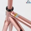 Khung Fixed Gear Tsunami SNM100 sơn nhũ