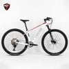 Xe MTB TW Storm 2.0 carbon 2026 Deore M6100 12 speed