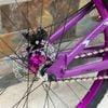 Xe MTB Dirt Jump PINK DS200 khung thép bánh 26 inchs