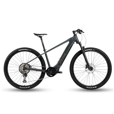 Xe đạp trợ lực điện Twitter CYCTRAC EM5 bánh 29 (U400/9S+M430)