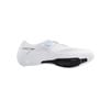 Giày cá Road SHIMANO RC5 SH-RC503
