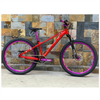 Xe MTB Dirt Jump PINK DS200 khung thép bánh 26 inchs