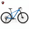 Xe MTB TW Storm 2.0 carbon 2026 Deore M6100 12 speed