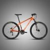 Xe MTB TW 3900XC Phanh đĩa cơ RS30 bánh 29