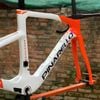 Khung road carbon Pina F 2026 phanh đĩa