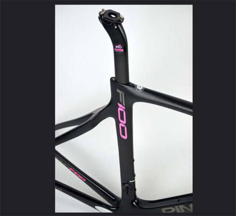 Khung road carbon Pina F100