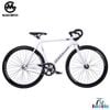 Xe Fixed Gear Magicbros CX5 PLUS Khung nhôm 2026