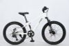 Xe đạp trẻ em MAKELEN KATO bánh 22 inch
