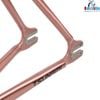 Khung Fixed Gear Tsunami SNM100 sơn nhũ