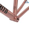 Khung Fixed Gear Tsunami SNM100 sơn nhũ