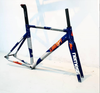 Khung fixed gear Liberty Nemesis V1 Track càng carbon