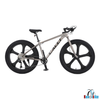 Xe đạp MTB bánh béo CALLI 3100 khung nhôm không mối hàn bánh 26 inch