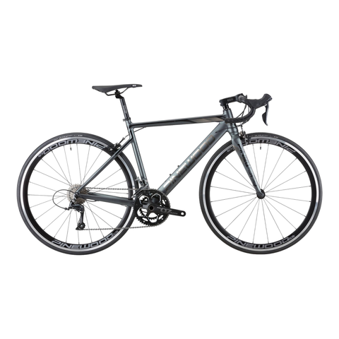 Xe road PINEWOOD MONZA V2