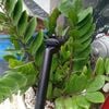 Cọc yên nhôm NONAME loại tốt mã 416
