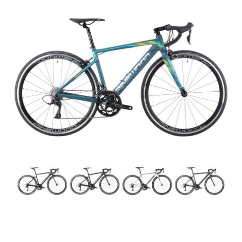 Xe road PINEWOOD MONZA V2