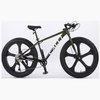 Xe mtb CALLI 3100 khung nhôm không mối hàn bánh béo 5 đao