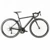 Xe road PINEWOOD MONZA V2