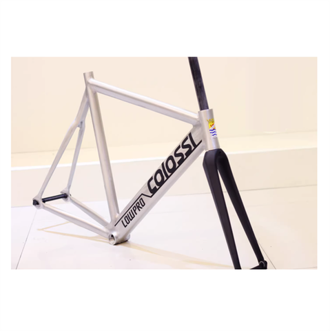 Khung Fixed Gear COLOSSI Lowpro có càng carbon F1
