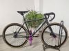 Xe Fixed Gear líp sống phanh dầu Pink bánh 700C