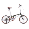 Xe Đạp Gấp Dahon Boardwalk D10 bánh 20inchs