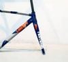 Khung fixed gear Liberty Nemesis V1 Track càng carbon