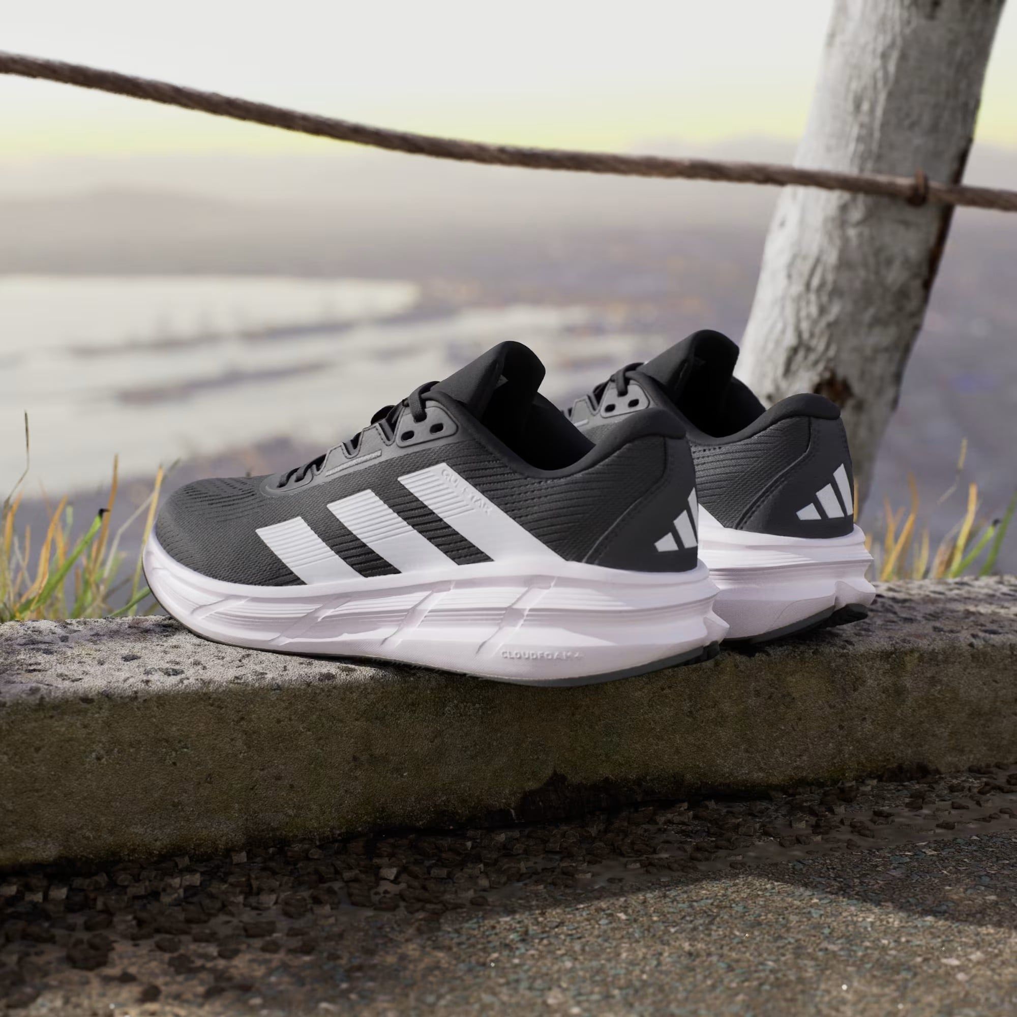  Giày Chạy Bộ Adidas Questar 3 ID6320 