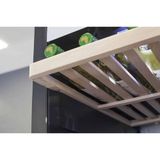Tủ Bảo Quản Rượu Vang CASO 776 WineChef Pro 126-2D - 126 Chai