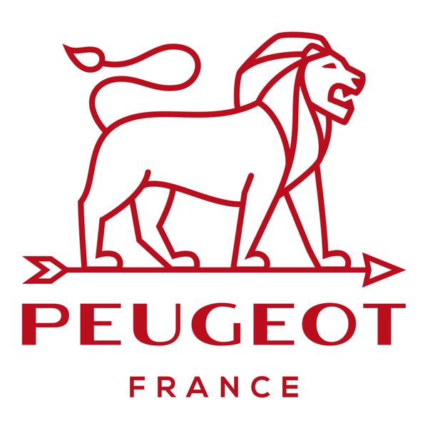 Dụng Cụ Mở Nút Rượu Vang Sạc Pin Peugeot Elis Reverse 200770 21cm