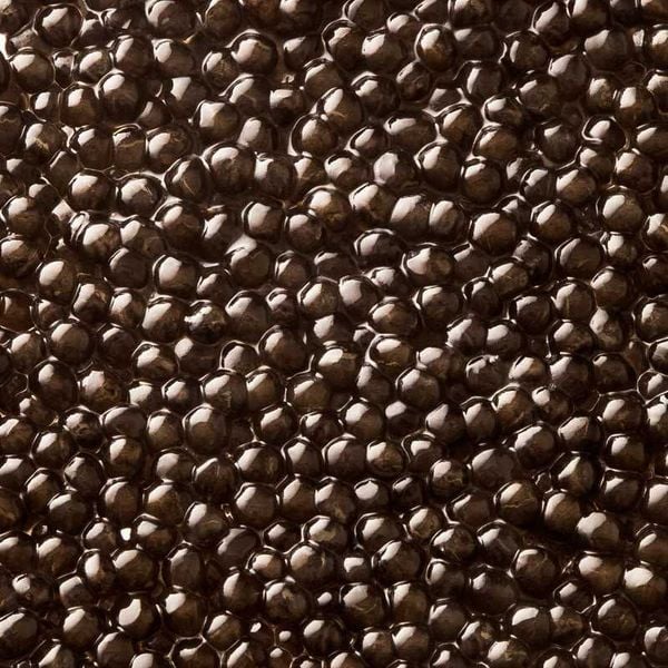 Trứng cá tầm muối - Caviar Baeri Royal 30g (Kaviari)